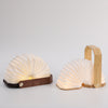 Easter Decorations 2027: 15 Stylish Ideas for Retail and Home Décor