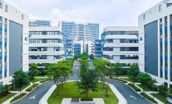 How Do International Buyers Work with Chinese Manufacturers?