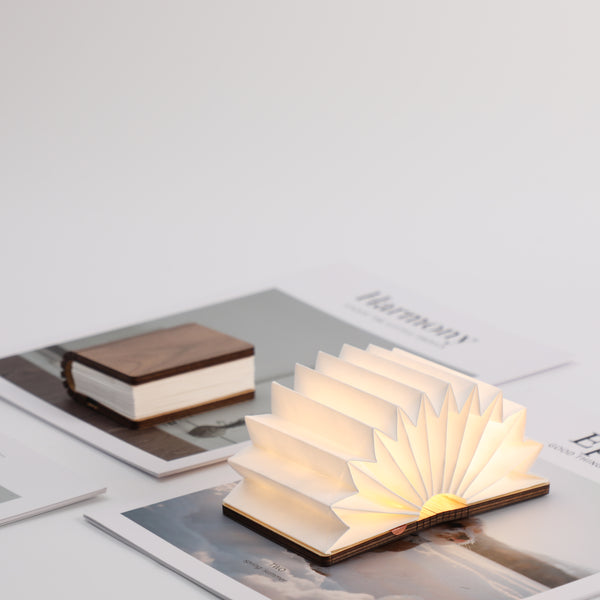 OEM creative cultural gift lamp for U.S. IP branding teams seeking licensed merchandise