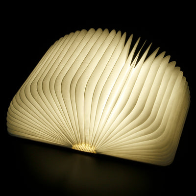 Book lamp