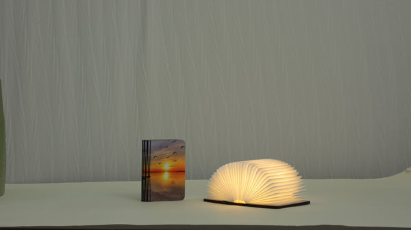 Book lamp