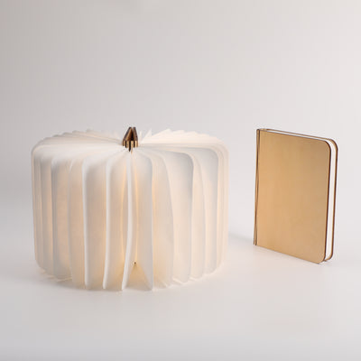 IP licensed cultural lamp for global branding partners – premium customization