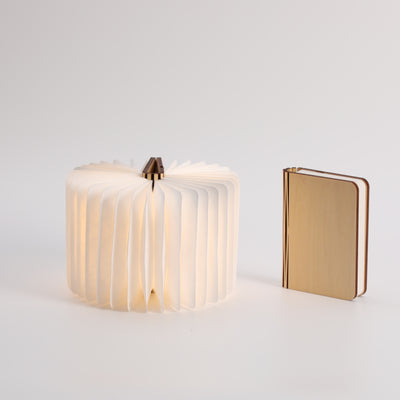 Latin America wholesale cultural lamp – OEM creative corporate gifting