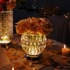 Leaf Shadow & Streamer" Multifunctional Storage Lamp