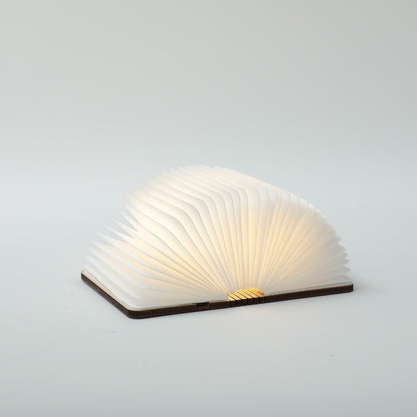 Book lamp