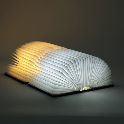 Book lamp