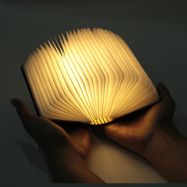 Book lamp