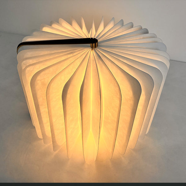 Book lamp