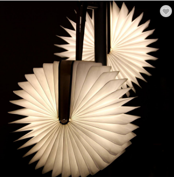 Book lamp